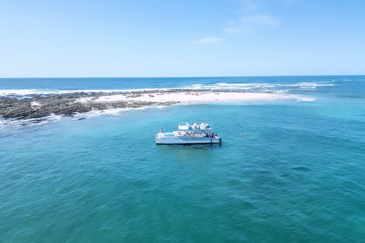 catamaran nosara